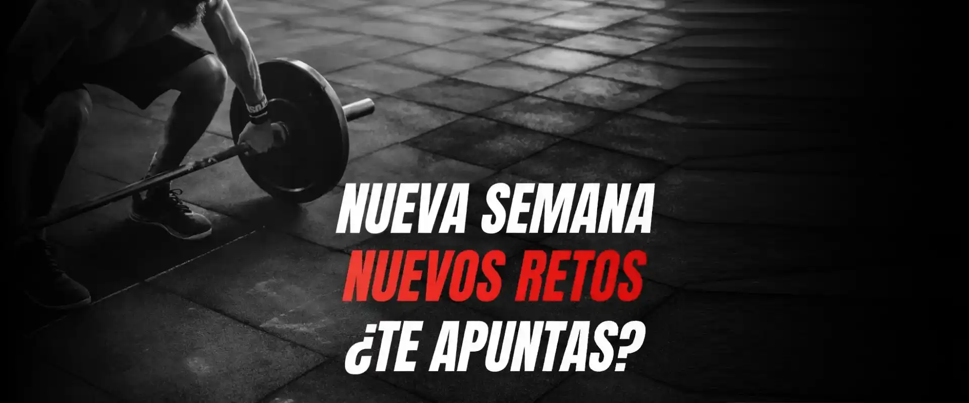 SportGym286